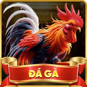 Hướng dẫn cá cược Thể Thao tại i9bet141 cổng game